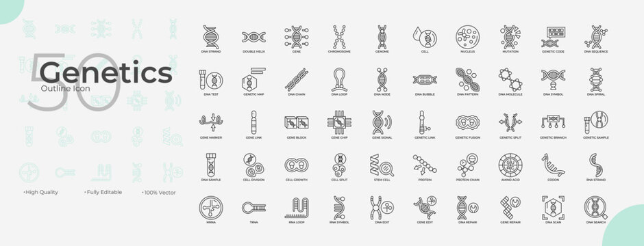 Genetics Line Editable Icons set