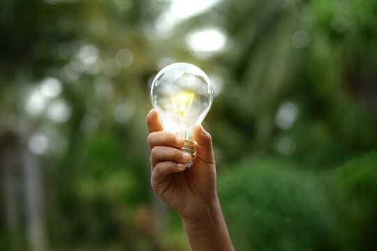 Renewable energy concept Earth Day or environment protection Hands protect forests that grow on the ground and help save the world.