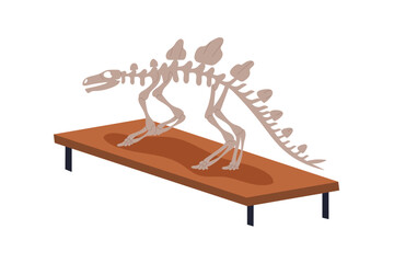 Dinosaur skeleton fossils display. Prehistoric animal bones, paleontology and archeology museum exhibit. Extinct reptile from jurassic period. Flat vector illustration isolated on white background © Good Studio