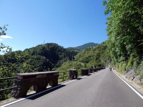 Passo Palade