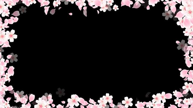Spring Sakura Cherry Blossom Border Frame Alpha Channel Floral Animation, nature petals and buds season and spring sale isolated motion design element