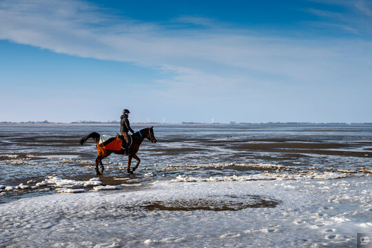 Meer Strand Sand Hafen