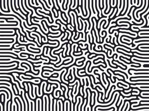 Abstract Black and White Organic Pattern with Rounded Lines and Shapes