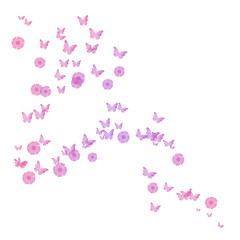 Obraz premium Colorful Flying Butterflies PNG Transparent Illustration
