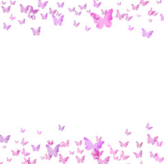 Fototapeta premium Colorful Flying Butterflies PNG Transparent Illustration