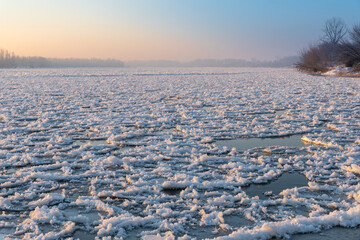 Kra na Wiśle © Dejan Gospodarek