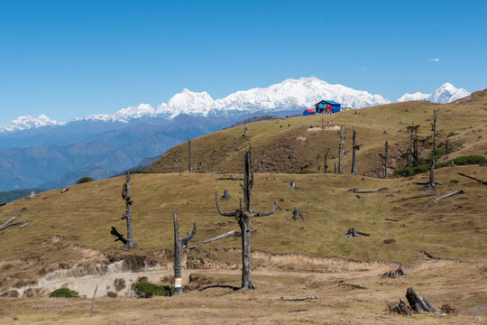 beautiful valley with green grasses, trees, with a house and white sleeping buddha in background ( mount kanchenjunga ) at charrate in sandakphu trek, in november