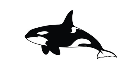 Obraz premium A striking orca whale illustration in bold black silhouette