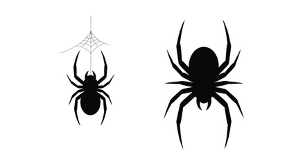 Two spiders and a web displayed as a striking black silhouette © Taylor