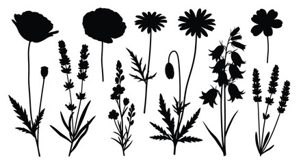 Naklejka premium Black floral arrangement with various wildflowers and plants silhouette