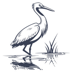 Fototapeta premium Heron standing in water with grass bird