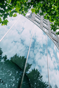 Modern glass facade architecture reflecting sky with urban tree greenery and crisp reflections that communicate sustainability in the city
