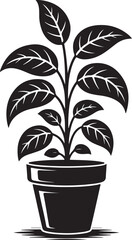 Modern houseplant in elegant pot illustration