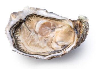 Opened raw oyster isolated on white background. Delicacy food. Clipping path. © volff