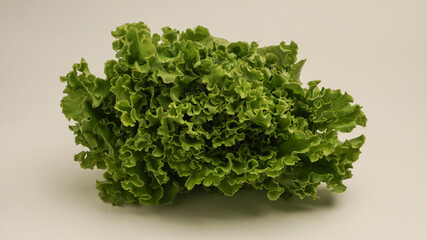 Obraz premium Lettuce leaves on white background