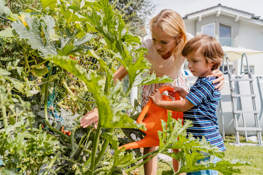 Mother and son watering plants in garden