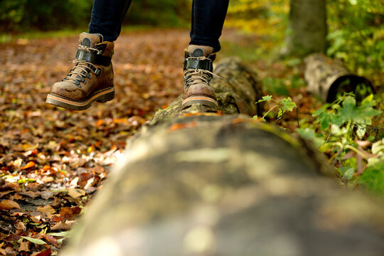 Low section of a woman balancing in a forest on a tree trunk in autumn