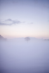 Fototapeta premium Misty winter landscape with soft pastel light