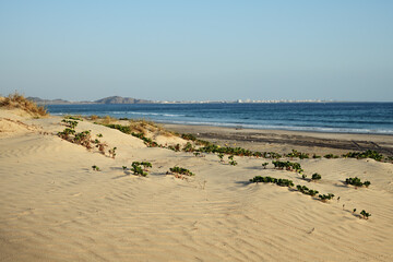 Sea sand area. Sultanate of Oman. Governorate of Dhofar. Salalah