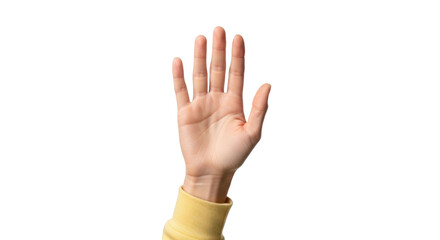 Obraz premium Isolated outstretched human hand with five fingers, showing or gesturing, studio shot