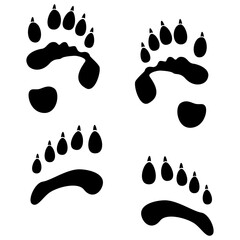 panda footprint, paw print vector. © shasini