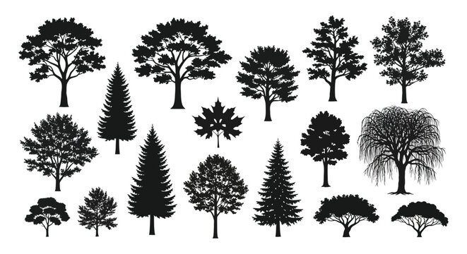 A collection of diverse tree silhouettes showcasing various foliage types on transparent background silhouette high quality professional detailed modern elegant stylish