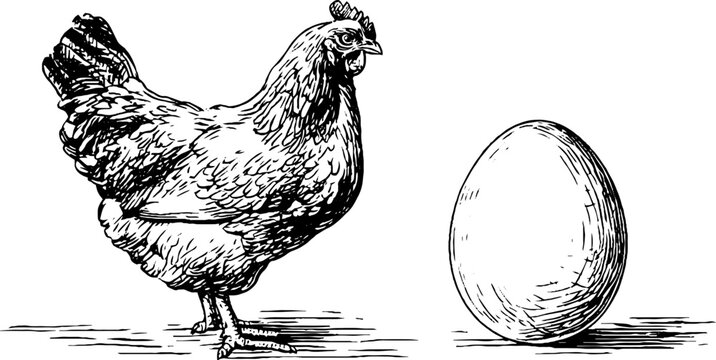 Engraved chicken and egg illustrations for retro design projects