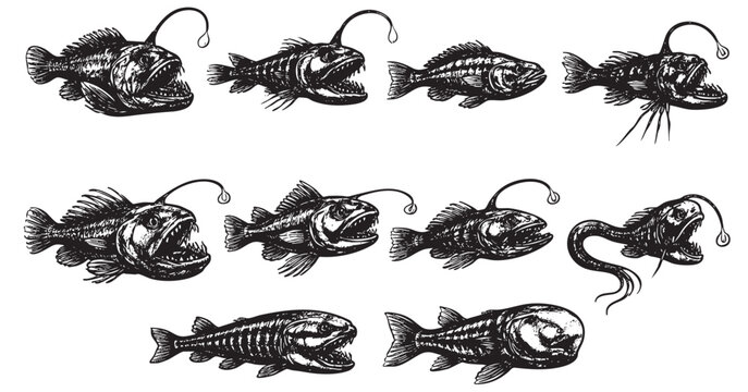 A set of black and white illustrations of various anglerfish on a white background. Perfect for marine biology, oceanic themes, fantasy art, and educational materials.