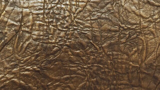 A close-up of elephant skin. Suitable for use as a banner or wallpaper.