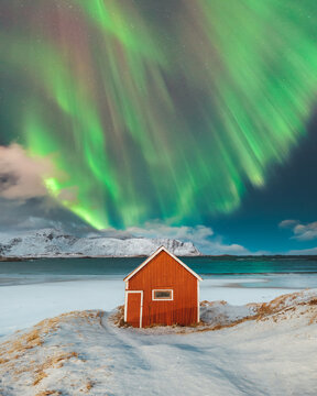 View of a vibrant red cabin stands on a snow-dusted hill beneath the swirling green and pink hues of the aurora borealis, Ramberg, Nordland, Norway.