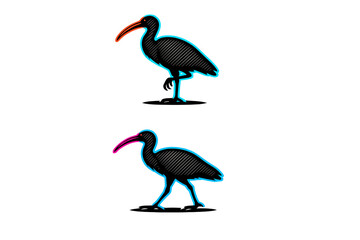 Two stylized illustrations of an ibis bird on a black background. The top bird stands on one leg with an orange beak, while the bottom bird walks with a pink beak and blue outlines.