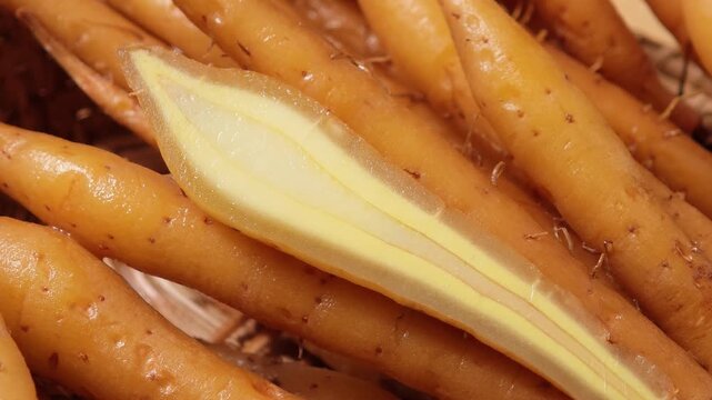 Fresh fingerroot, Chinese Key in a basket.