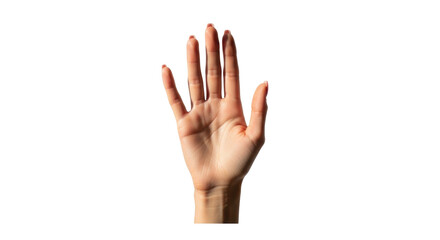 Fototapeta premium Isolated human hand raised upward, palm facing forward in a stop or greeting gesture