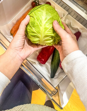 Woman taking fresh cabbage from a refrigerator crisper drawer. Top view of hands selecting vegetables for a healthy meal.