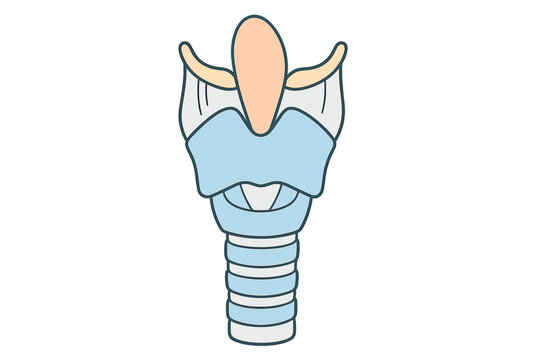 A simplified medical illustration of the human larynx and trachea showing the epiglottis, thyroid cartilage, and tracheal rings against a solid black background.