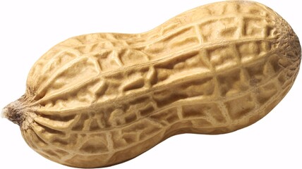Obraz premium Peanut isolated on white background healthy snack food concept with one whole raw peanut