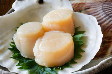 活ホタテ貝の刺身