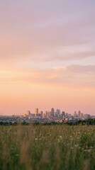 Fototapeta premium sunset over the city