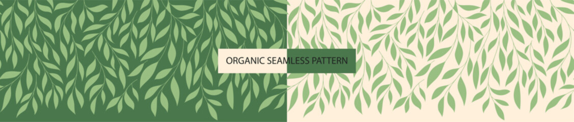 Seamless Pattern with Hanging Willow Branches and Hand-Drawn Leaves, Organic Botanical Background © Olesia