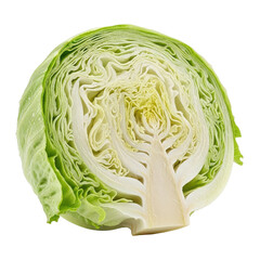 Obraz premium Iceberg Lettuce Cross Section Isolated