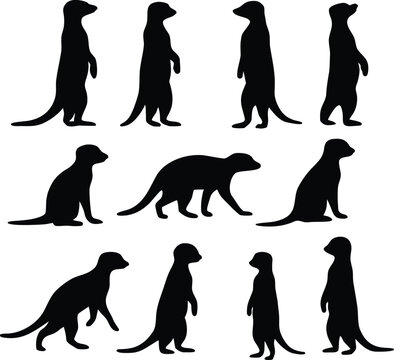 Different meerkat silhouettes group with standing and walking sericite positions for set design
