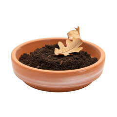 Terracotta pot with soil and dry oak leaf