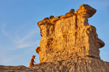 Funny scene badlands in Los Monegros. Tozal Colasico. Huesca. Spain © h368k742