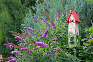 Bunter Vogel-Nistkasten neben Schmetterlingsflieder im Garten