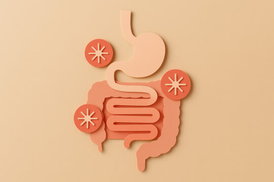 Minimal medical illustration of digestive system and gut health. paper cutout concept of intestine and stomach shows an allergy or inflammation response and discomfort