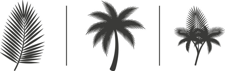 Collection of palm tree silhouettes and fronds on a white background © Vitechek