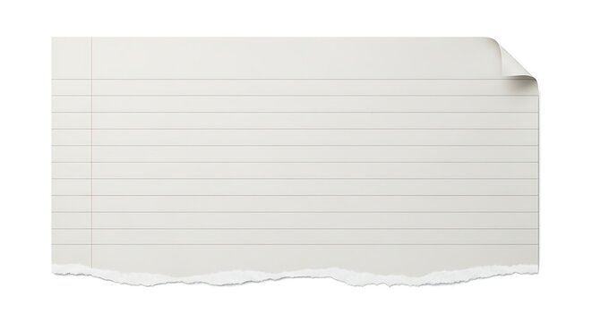 A torn piece of lined paper with a curled corner on a white background display