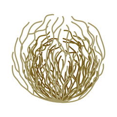 Illustration of tumbleweed, a dry desert plant, a lump of roots and branches rolling across arid land