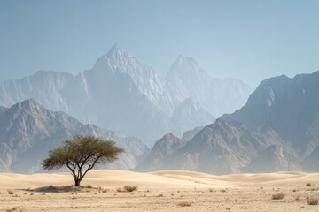 Fototapeta premium A lone green tree grows in the middle of a wide, flat desert plain during the day. Distant, rugged mountains rise sharply against a clear, light blue sky, completing the serene, expansive landscape