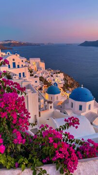 Beautiful panoramic view of white houses with blue domes and vibrant pink bougainvillea flowers at sunset in Oia village, Santorini island, Greece